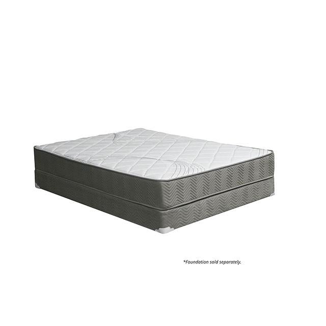 Edrea 10 Tight Top Pocket Coil