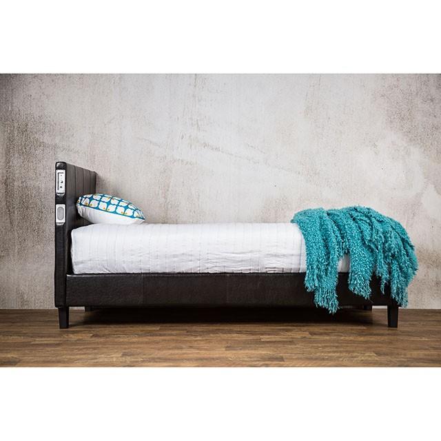 Evans Bed Espresso & Pink
