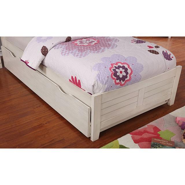 Bed Brogan